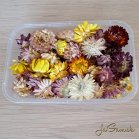 Mix sušených kvetov pre tvorenie (DS029)